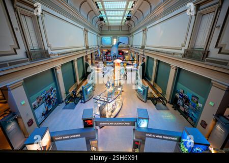 WASHINGTON DC — le Sant Ocean Hall du Musée national d'histoire naturelle du Smithsonian explore les écosystèmes marins et les sciences océaniques. Cette salle d'exposition de 23 000 pieds carrés présente un modèle de 50 pieds de long d'une baleine noire de l'Atlantique Nord suspendue au plafond. La salle abrite des spécimens marins, des expositions interactives et des expositions sur la vie marine et la conservation. Banque D'Images