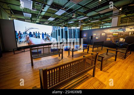 WASHINGTON DC — Une vidéo montrant des recherches sur la faune et la flore sauvages jouées sur l'hypermur de la NASA au Earth information Center du Musée national d'histoire naturelle. La présentation montre comment la technologie satellitaire et les données d'observation de la Terre aident les scientifiques à suivre et à étudier les populations animales et leurs déplacements. L'exposition fait partie de la collaboration de la NASA avec le Smithsonian pour présenter les techniques de surveillance environnementale. Banque D'Images