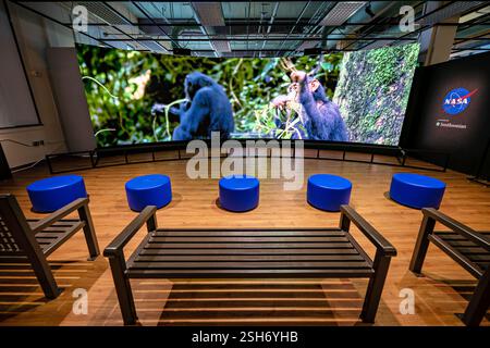 WASHINGTON DC — Une vidéo montrant des recherches sur la faune et la flore sauvages jouées sur l'hypermur de la NASA au Earth information Center du Musée national d'histoire naturelle. La présentation montre comment la technologie satellitaire et les données d'observation de la Terre aident les scientifiques à suivre et à étudier les populations animales et leurs déplacements. L'exposition fait partie de la collaboration de la NASA avec le Smithsonian pour présenter les techniques de surveillance environnementale. Banque D'Images