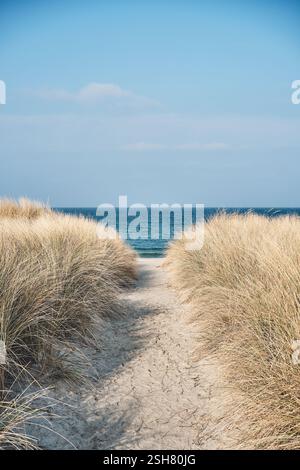 Sentier à travers les dunes de la mer Baltique. Photo de haute qualité Banque D'Images