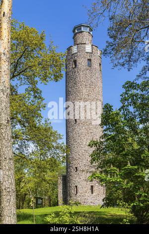 Tour de Schildberg, tour d'observation sur le Schildberg près de Belgern-Schildau, Saxe, Allemagne, Europe Banque D'Images