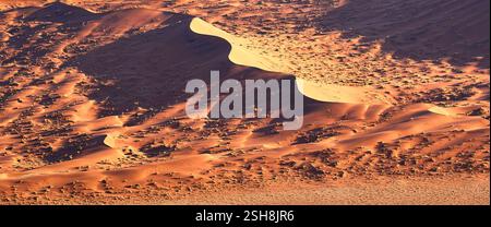 Dunes de Sossusvlei dans le soleil du matin formant de belles formes avec des nuances, Namibie, Afrique. Banque D'Images