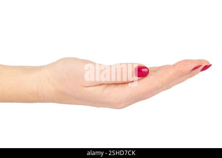 Main féminine avec manucure rouge en geste offrant légèrement courbé sur fond blanc Banque D'Images
