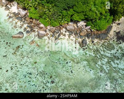 Une plage tropicale avec d'énormes rochers de granit et une végétation luxuriante. Seychelles, Mahé. Banque D'Images