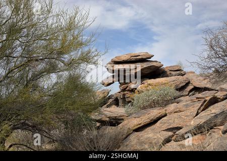 Wild Burro Trail Rock formation Marana Arizona Banque D'Images