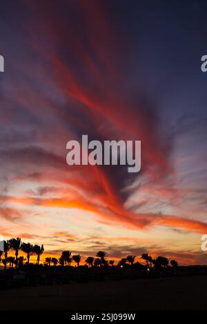 Coucher de soleil à couper le souffle dans les couleurs orange et violet sur les palmiers de la côte égyptienne de la mer Rouge à Marsa Alam Banque D'Images