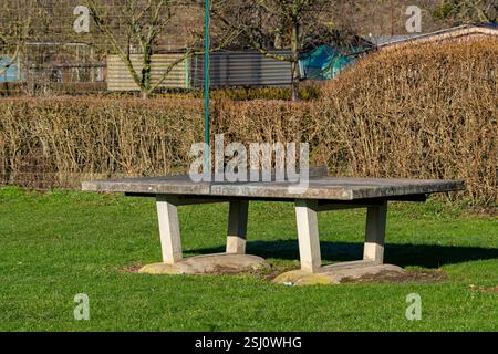 Une solide table de pique-nique en béton se dresse dans un parc verdoyant animé, entouré d'herbe luxuriante et de haies. La lumière du soleil met en valeur la surface de la table, invitant vi Banque D'Images