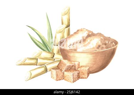 Cubes de sucre brun et empiler dans un bol en bois. Tiges de canne à sucre avec feuilles. Illustration d'aquarelle dessinée à la main isolée. Composition de l'ingrédient pour rhum Banque D'Images