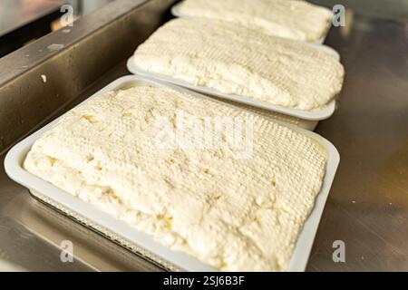 Maturation du fromage mozzarella italien. Gros plan. Photo de haute qualité Banque D'Images