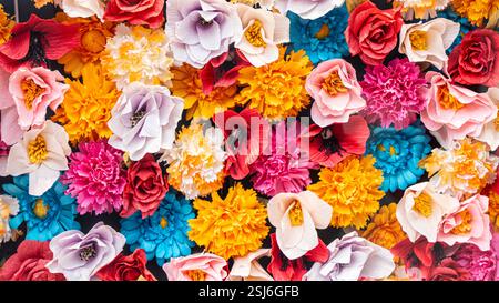 Mur de couleurs vives. Fond de nombreuses fleurs de différentes couleurs. Texture florale pour le design. Photo de haute qualité Banque D'Images