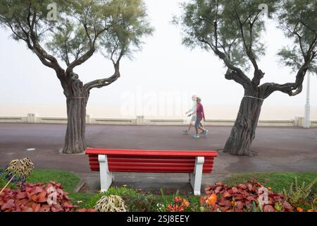 Matinée brumeuse sur la plage d'Arcachon et Promenade Marcel Gounouilhou, Arcachon, département de la Gironde, Nouvelle-Aquitaine, France, Europe Banque D'Images