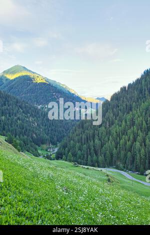 Une vallée alpine paisible près de Samnaun, en Suisse, avec des prairies verdoyantes, des forêts denses et des sommets montagneux baignés par une douce lumière du soir. Banque D'Images