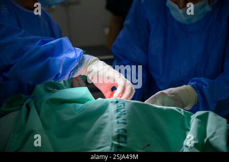 Le personnel chirurgical vétérinaire ampute l'aile d'un vautour griffon eurasien (Gyps fulvus) les chirurgiens vétérinaires dans un environnement stérile sont cutti Banque D'Images