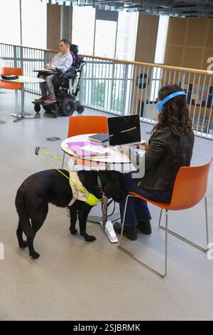Femme aveugle avec chien-guide à table Banque D'Images