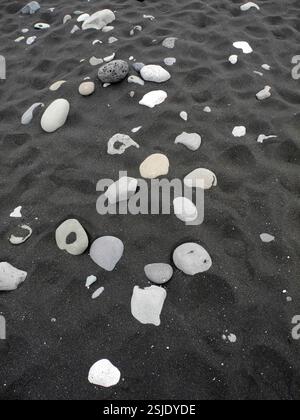 Galets sur une plage en Islande Banque D'Images