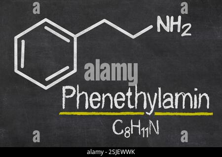 Ardoise avec la formule chimique de phénéthylamine Banque D'Images