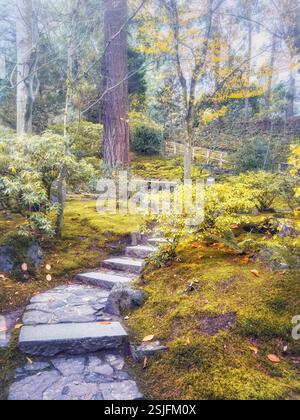 Un chemin de pierre sinueux mène vers le haut à travers une forêt luxuriante couverte d'une épaisse couche de mousse, donnant à la scène une teinte verte douce et discrète. Banque D'Images