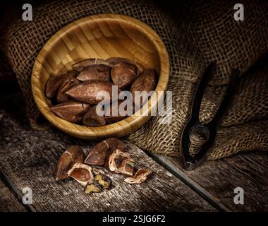 Canarium ovatum connu sous le nom de noix de pili aux Philippines Banque D'Images