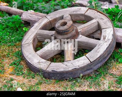 Une roue en bois vintage se trouve sur le sol entourée d'un feuillage vert luxuriant. La texture altérée et l'artisanat ancien reflètent un charme rustique, mis en place Banque D'Images