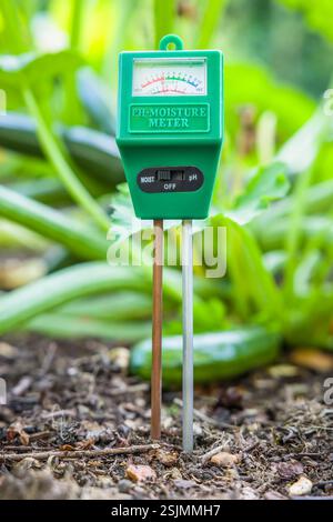 Humidimètre de sol et ph-mètre testant le sol dans un potager britannique Banque D'Images