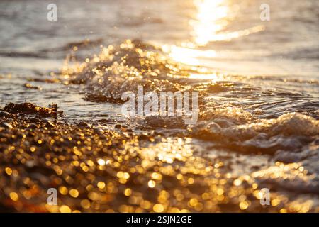 Vallée de printemps, Glücksburg, eau, vagues et plage Banque D'Images