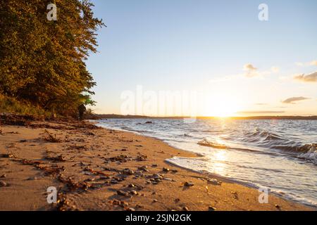 Vallée de printemps, Glücksburg, eau, vagues et plage Banque D'Images
