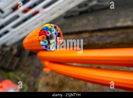 Conduits vides pour câbles à fibres optiques, conduit de protection en orange, contenant les conduits vides pour les câbles à fibres optiques proprement dits, qui sont alors b Banque D'Images