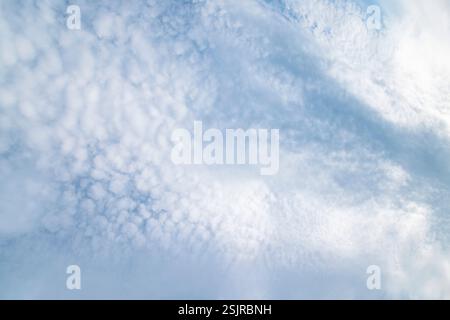 Péninsule de Holnis, ciel avec motif nuageux, Altocumulus floccus Banque D'Images