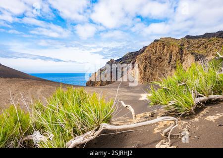 Rochers et falaises à la péninsule de Capelinhos avec paysage volcanique et océan en arrière-plan, île de Faial, Açores, Portugal Banque D'Images