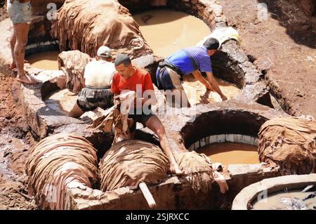 Ouvriers, quartier des tanneurs et teinturiers Chouwara à Fès El Bali, Médina, site du patrimoine mondial de l'UNESCO, Fès, artisans travaillant avec le cuir dans un traditionnel Banque D'Images