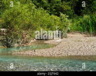 Lechblick près de Pinswang dans la vallée tyrolienne de Lech, Tyrol, Autriche Banque D'Images