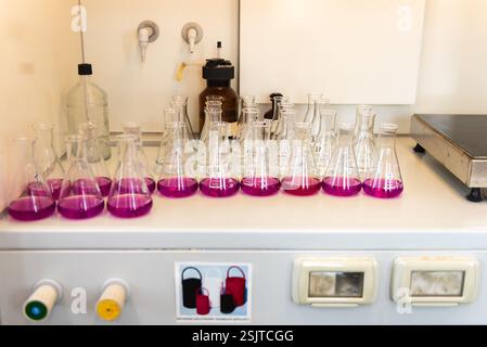 Équipement de laboratoire. Rangées de fioles Erlenmeyer remplies de permanganate. Banque D'Images