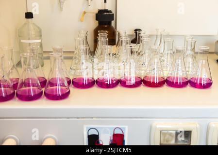 Équipement de laboratoire. Rangées de fioles Erlenmeyer remplies de permanganate. Banque D'Images
