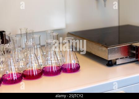 Équipement de laboratoire. Rangées de fioles Erlenmeyer remplies de permanganate. Banque D'Images