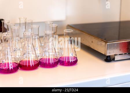 Équipement de laboratoire. Rangées de fioles Erlenmeyer remplies de permanganate. Banque D'Images