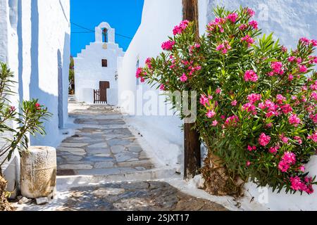 Ruelle étroite avec des fleurs menant à l'église blanche dans le village de Chora, île d'Amorgos, Cyclades, Grèce Banque D'Images
