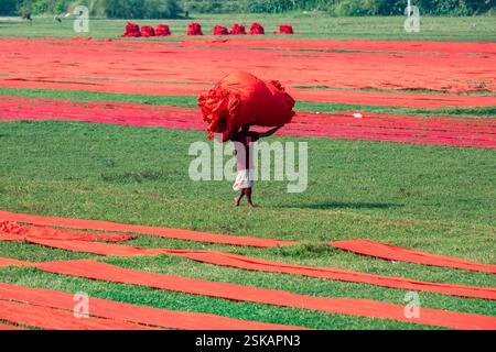 Un ouvrier porte un tissu teint sur sa tête alors qu'il se rend à l'usine après qu'elle a séché. Narsingdi, Bangladesh. Banque D'Images