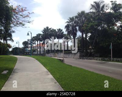 Rue tropicale, palmiers bordent la route, pelouses soignées et maisons blanches. Trottoir courbe le long de la rue, invitant les piétons à se promener Banque D'Images