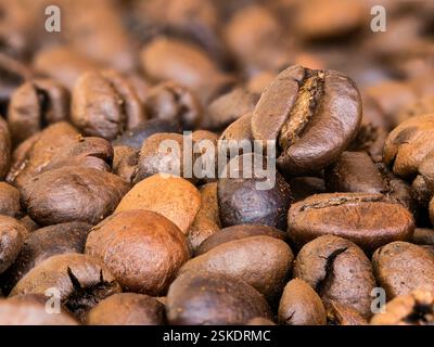 Photo macro extrême de grains de café éparpillés. Banque D'Images
