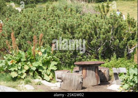 Scène de montagne avec des arbres verts luxuriants, une table de pique-nique faite de bûches, et une personne marchant au loin. Une belle journée d'été dans les montagnes. BULG Banque D'Images