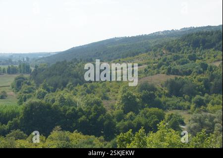 BULGARIE. Collines ondulantes recouvertes de forêts verdoyantes. Villages lointains nichés au milieu de l'étendue verdoyante. Un panorama serein de campagne évoquant tr Banque D'Images