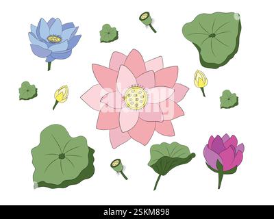 L'ensemble de feuilles de lotus et de fleurs. Illustration de Vecteur