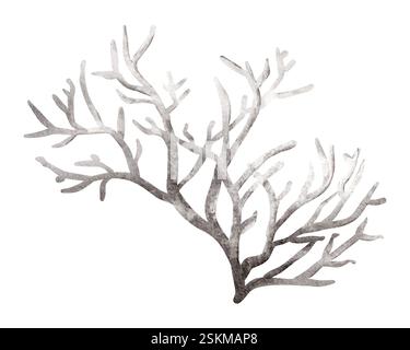 Illustration aquarelle récif corallien sur fond isolé. Élément dessiné à la main flore sous-marine pour autocollant. Dessin d'algues pour mur de pépinière Mer o Banque D'Images