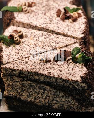 Gâteau au chocolat délicieux et très savoureux avec de grandes fleurs de crème blanche et du chocolat. Beau gâteau avec de la crème blanche et des morceaux de chocolat. Banque D'Images