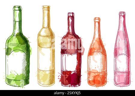 Rangée de cinq bouteilles avec différents types de vins. Illustration d'esquisse d'aquarelle dessinée à la main vectorielle isolée sur fond blanc. Label magasin vinicole, moi Illustration de Vecteur
