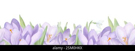 Crocus violets et bordure sans couture de gouttes de neige. Illustration florale à l'aquarelle isolée sur blanc. Fond de printemps dessiné à la main pour l'impression et la conception Banque D'Images