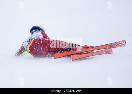 Saalbach, Autriche. 12 février 2025. SAALBACH, AUTRICHE - 12 FÉVRIER : Marco Schwarz d'Autriche en action lors des Championnats du monde de ski alpin Audi FIS - combiné par équipes masculines - course à Saalbach le 12 février 2025 à Saalbach, Autriche, Salzbourg.250212 SEPA 12 171 - 20250212 PD13029 crédit : APA-PictureDesk/Alamy Live News Banque D'Images