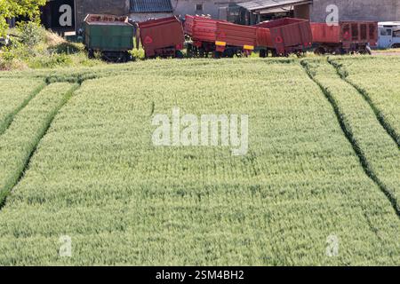 Un champ verdoyant bordé de remorques agricoles colorées et d'un bâtiment rural rustique. Dépeint la tranquillité et le charme rural. Banque D'Images