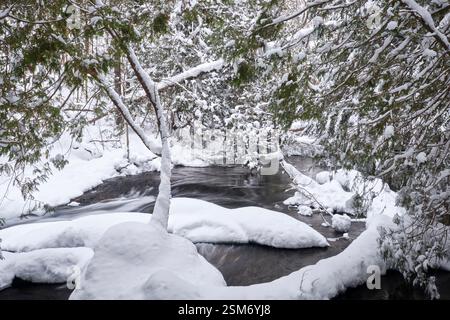 Une scène hivernale après une chute de neige fraîche du ruisseau à Muskoka au sommet de la station piscicole Falls. Banque D'Images
