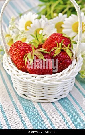Fruits rouges fraises dans un panier en osier blanc, un bouquet de camomille sur un fond de serviette à rayures vert Banque D'Images